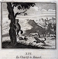 Katten og ræven. Fabler af Jean de La Fontaine (1621-95). Illustration af François Chauveau (1613-1676). Udgave af 1728.