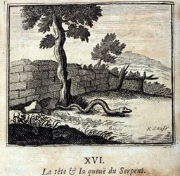 Slangens hoved og hale. Fabler af Jean de La Fontaine (1621-95). Illustration af François Chauveau (1613-1676). Udgave fra 1728.