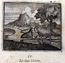 De to geder. Fabler af Jean de La Fontaine (1621-95). Illustration af François Chauveau (1613-1676). Udgave af 1728.