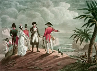 Bonaparte på St. Helena (stålgravering)