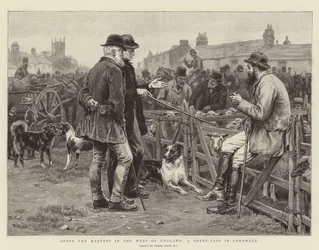 Efter høsten i det vestlige England, en fåremesse i Cornwall