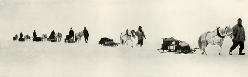 Ponyer i marts 1911, 1913