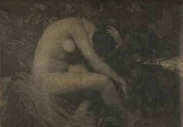 Cikaden, 1898.