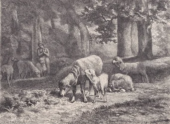 Fårene, fra Magasin Pittoresque, 1862.