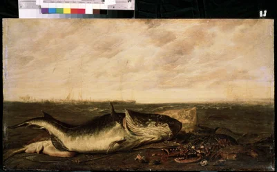 Fisk og hummer på stranden (Fisk og hummer på kysten). Maleri af Frans Ryckhals (efter 1600-1647). Olie på lærred, 47 x 83,5 cm