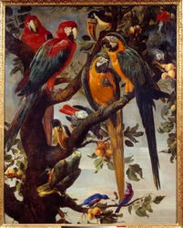 Papegøjer og andre fugle Maleri af Frans Snyders (1579-1657) 1600-tallet søn. 1,22x0,98 m Grenoble, Musee des Beaux Arts