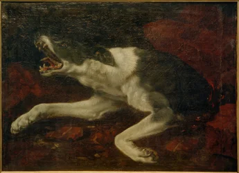 Skadet hund
