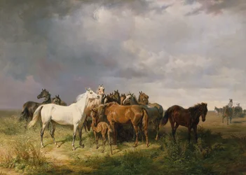 Heste på Puszta