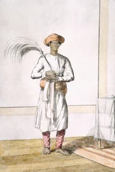 Piskerisbærer, fra 