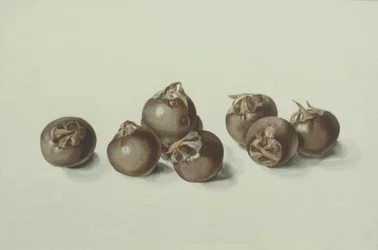 Medlarfrüchte