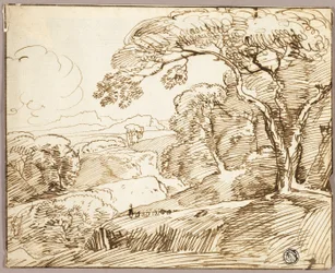 Panoramisk landskab