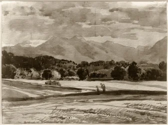 Fødder