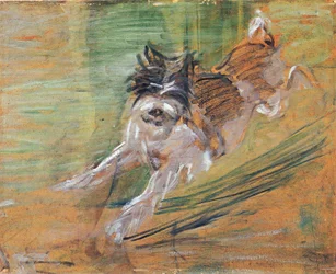 Springende hund