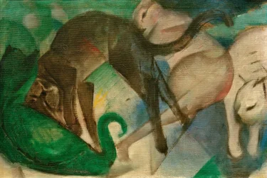 Legende katte (kattebillede)