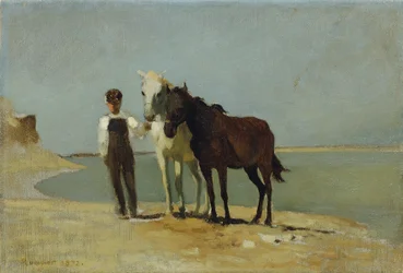 En dreng med heste på stranden