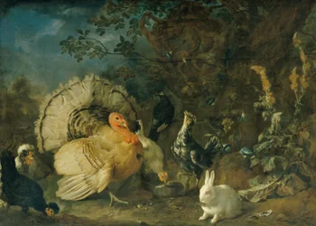 tamhøns og kaniner