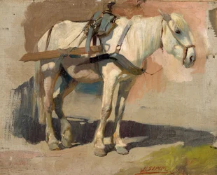 Udnyttet form