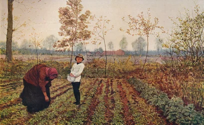 Violfeltet, 1867, ca. 1915