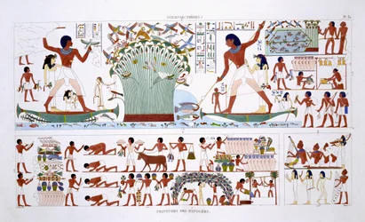 Forberedelse af mad til døde, fra en sjælden optegnelse af fresker fra Theben, optaget 1819-1822 på sit andet besøg i Egypten af Frederic Cailliaud (1787-1869), farve litho