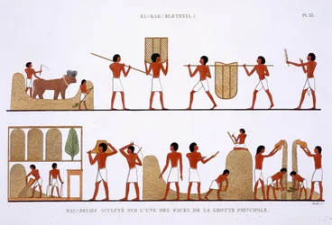 Transport, opbevaring og registrering af kornlagre, fra en sjælden optegnelse af fresker fra Theben, optaget 1819-1822 på sit andet besøg i Egypten af Frederic Caillaud (1787-1869), farve litho