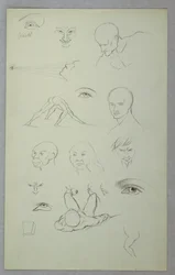 Anatomiske undersøgelser