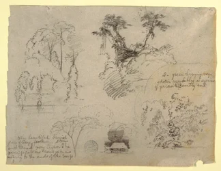 Botaniske studier og et hus, sandsynligvis fra Colombia