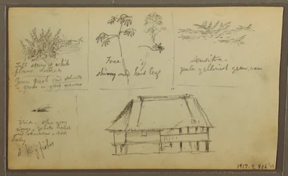 Tegning, et fort; bagside: Botaniske skitser, hus, 1857