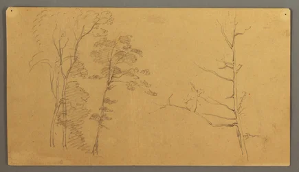 Tegning, En gruppe træer med den øverste del af et dødt træ, 1866