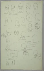 Tegning, anatomiske studier, 1865-70