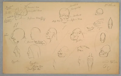 Tegning, anatomiske studier, 1865-70