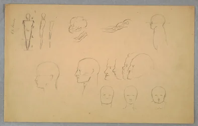 Tegning, anatomiske studier, 1865-70