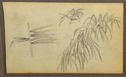 Tegning, Botaniske skitser, 1857