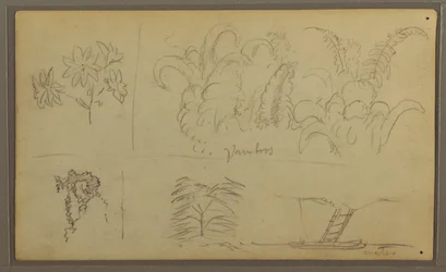 Tegning, botaniske skitser; bagside: firben, palme, 1857