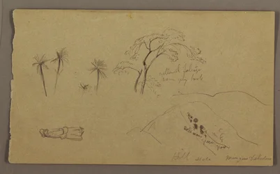 Tegning, botaniske skitser, figur, maj-august 1865