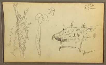 Tegning, botaniske skitser, hus; botaniske skitser, 1857