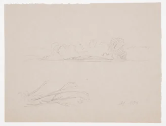 Tegning, Botaniske skitser: landskab, træer ved en strand, september 1876