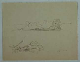Tegning, Botaniske skitser: landskab, træer ved en strand, september 1876