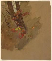 Tegning, botaniske studier, 1860-70