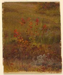 Tegning, Botaniske studier, oktober 1865