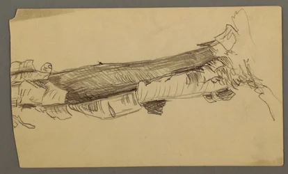 Tegning, nederste del af en død træstamme, 1877