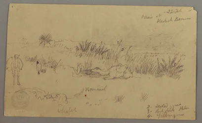 Tegning, Kameler drikker på en bakke, 22. februar, muligvis 1868