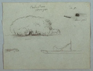 Tegning, Ceiba-træ ved Mompos, Champan-kano, træer og en delvis båd, Rio Magdelena, Colombia, 1853, sandsynligvis maj