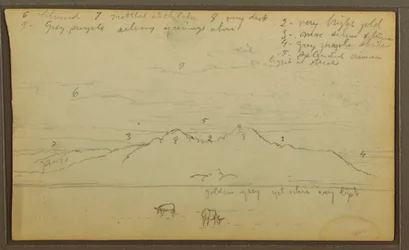 Tegning, køer i landskab; bagside: bambus, 1857