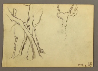 Tegning, fjerntliggende udsigt over Peterskirken og Vatikanet, Rom, Italien, januar 1869