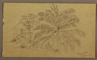 Tegning, Hus og bregne, maj 1865