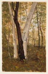 Tegning, I skoven, Hudson, New York, oktober 1865
