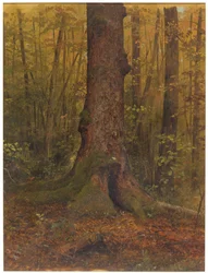 Tegning, I skoven, sandsynligvis Maine, 1850-60