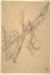 Tegning, indianerlejr, Grand Manan, Fundy-bugten, september 1851