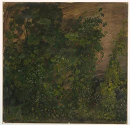 Tegning, Junglevegetation, 1865