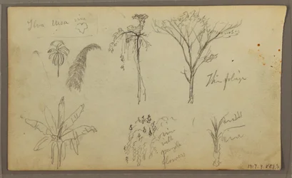 Tegning, landskab, Guayaquil, Ecuador, 21. maj 1857